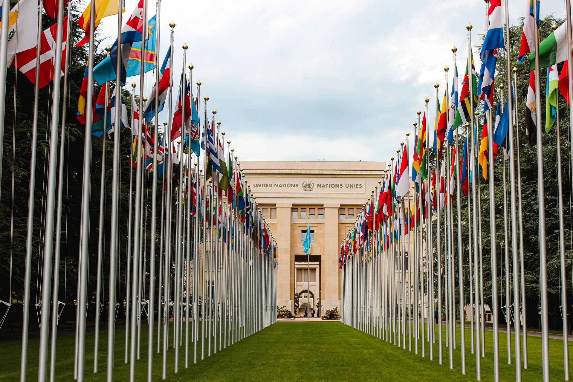 Flag of different countries UN members